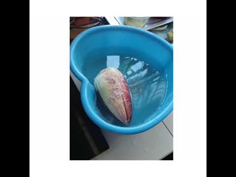 Tips Rebus Jantung Pisang Agar Tidak Hitam