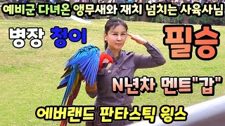 예비군 다녀온 앵무새와 재치 넘치는 사육사님 #에버랜드 판타스틱 윙스#EVERLAND