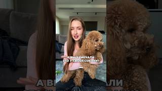 Что делать если собака ест 💩