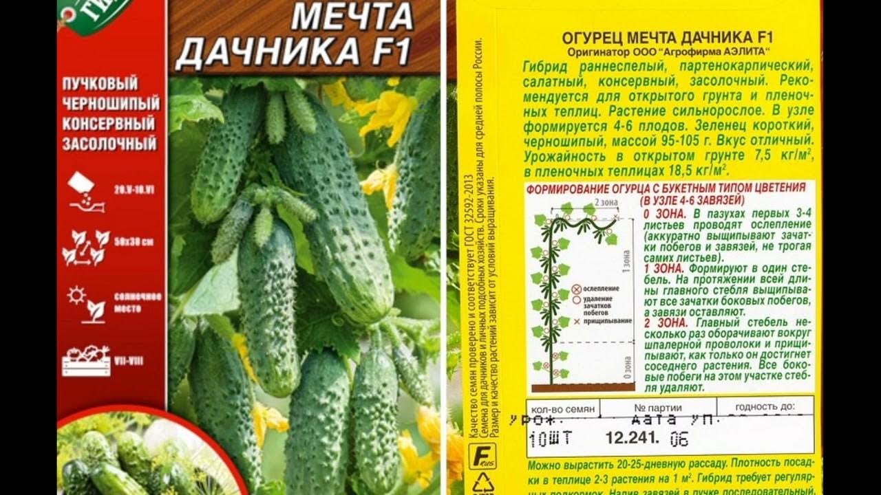 Сорта огурцов для теплицы самоопыляемые. Огурцы сорт амур. Урожайные сорта огурцов для теплиц. Семена огурцов корнишонов для теплицы самоопыляемые. Пчелоопыляемые сорта огурцов.