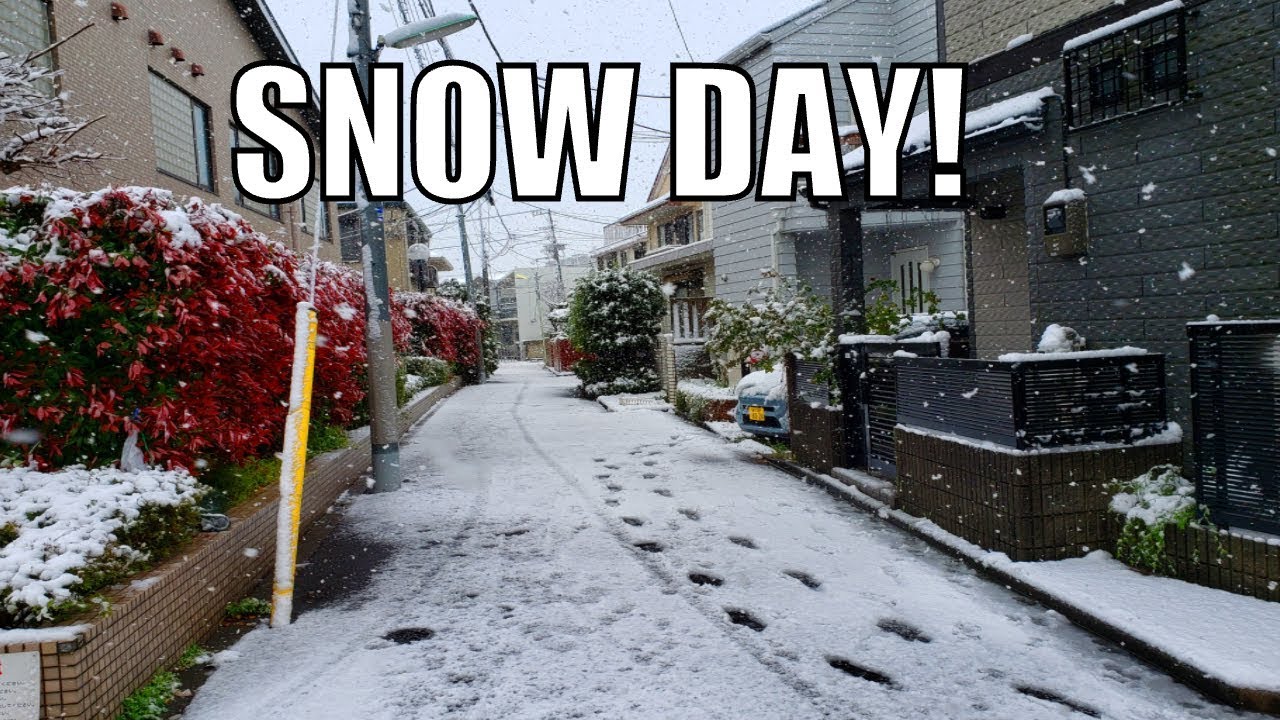 Spring Snow Day in Tokyo - YouTube