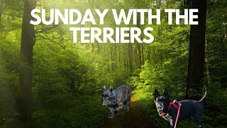 Sunday with the Terriers