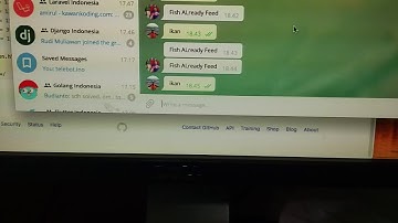 Telegram Fish Feeder