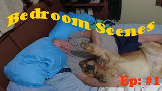 Bedroom Scene #1 #goldenretriever by In Memory of Cary Gamble. 263 views 1 year ago 4 minutes, 37 seconds