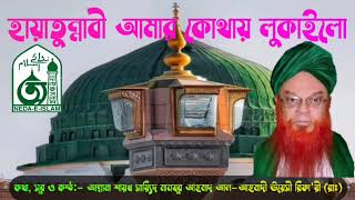 অসাধারন ক্বাসিদ্বা শরীফ| হায়াতুন্নাবী আমার কোথায় লুকাইলো, Allama Shaykh Say'eed Manzoor Ahmad (Rad.)