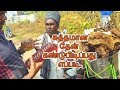 How To Check Original Hills Honey Is Pure Or Not சுத்தமான தேன் கண்டுபிடிப்பது எப்படி