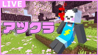 残骸堀り対決とダイヤ堀り！！【マイクラ/ゆっくり】#アツクラ