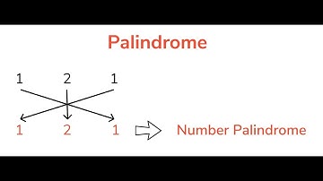 palindrome number check using function in python