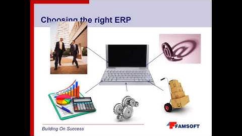 Should you customize your ERP