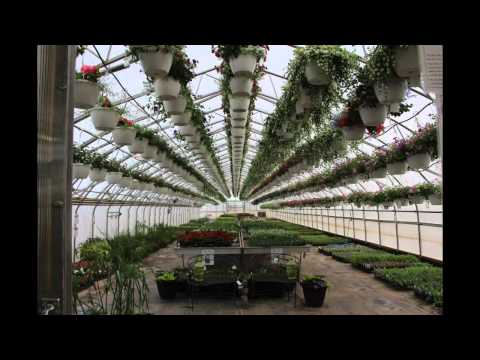 Greenhouse Time Lapse