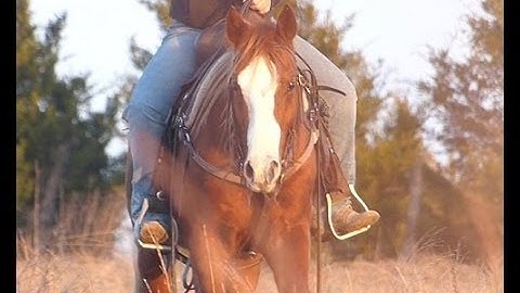 Moe   ***For info, price, etc., go to our website*** Valley View Ranch