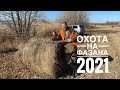 Открытие охоты на фазана 2021