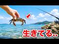 【0円釣り】海に落としたらバケモノ釣れた...