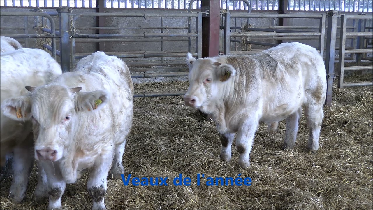 Portes ouvertes les Granges De Vesvres