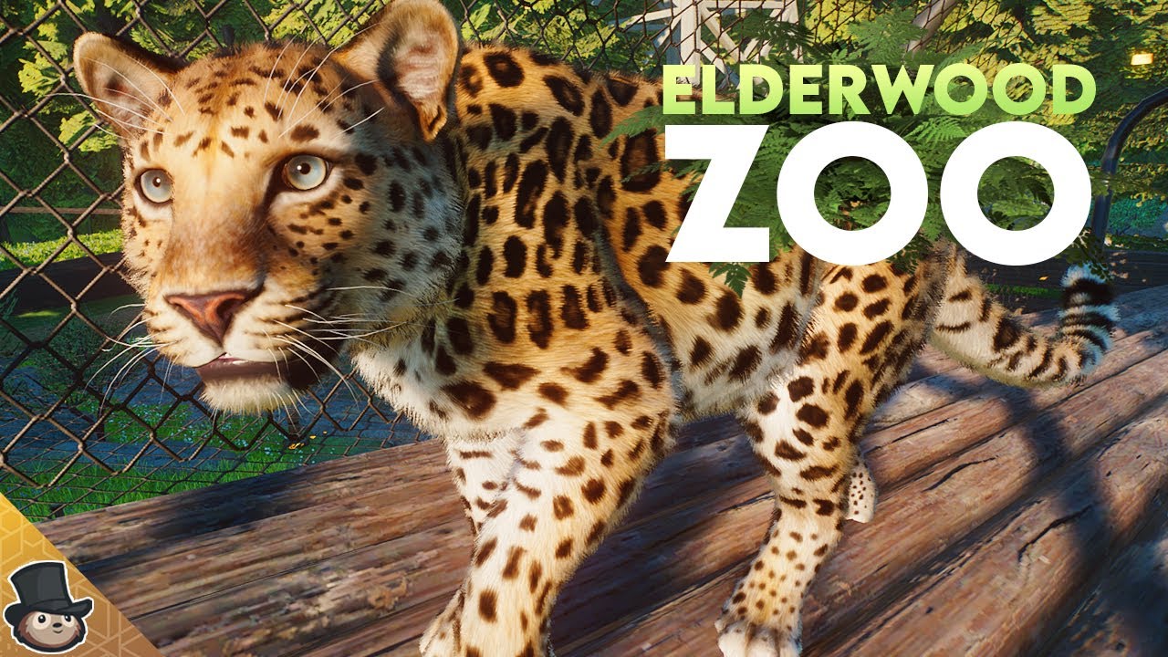 Building An Amur Leopard Habitat With Walkway In Planet Zoo | Elderwood