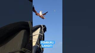 Pemburu Langit yang Tak Terkalahkan!