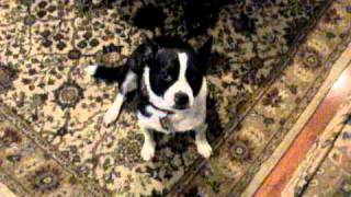DSCN0359.avi