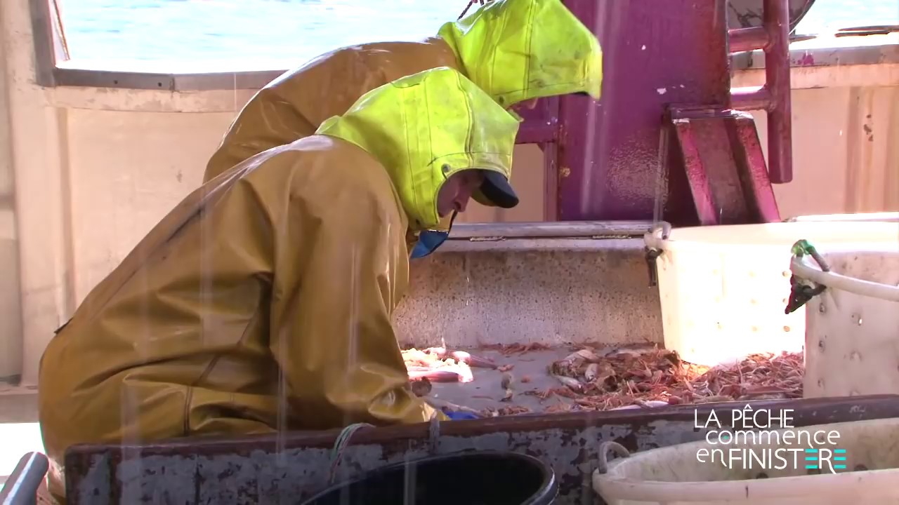 Manoeuvre à bord d'un chalutier langoustinier : Cap Coz II
