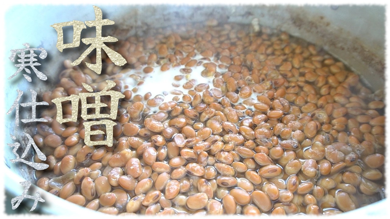 「手作り味噌」寒仕込み②Japanese miso making