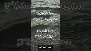 Proverbs సామెతలు 15:1gentle word angry cool painful rage bible verse proverbs
