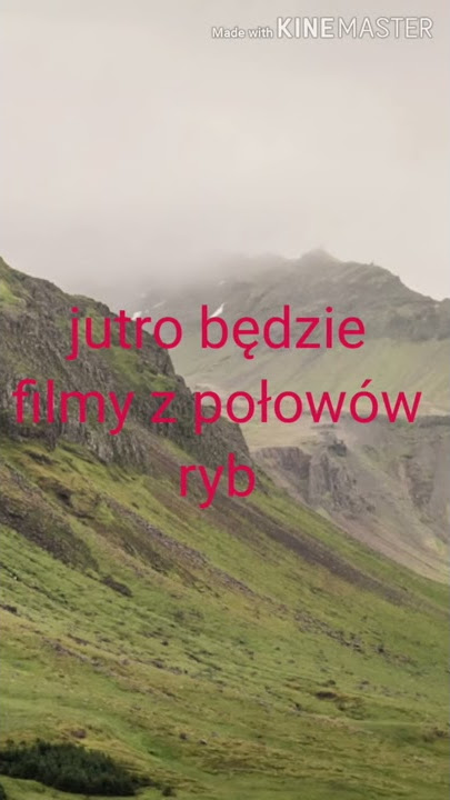 Zapraszamy na film