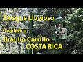 Bosque Lluvioso Braulio Carrillo, Costa Rica