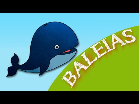 Planeta Animal - Baleias