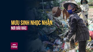 Người nhặt rác ở Vĩnh Long: Miếng cơm trông chờ cả vào... bãi rác | VTC Now