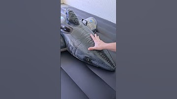 Inflatable Shark Filled with Water