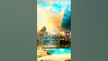 القران الكريم #المصحف #القرآن_الكريم #قران #الرحمن #راحة_نفسية