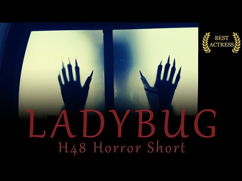 LADYBUG | Horror Short Film (h48 2025)