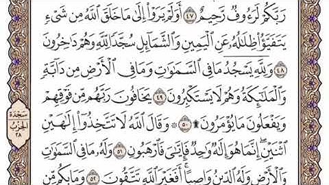 سورة النحل الشيخ ياسر الدوسري صفحة ٢٧٢