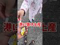 史上最悪の置き土産 #漁港 #ポイ捨て #閲覧注意
