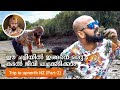 Oyster tasting,New Zealand tour, how to eat oysters,New Zealand tour malayalam, best  raw oyster