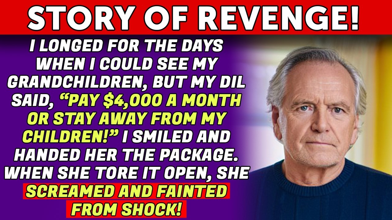 My DIL Demanded $4,000 A Month To See My Grandchildren, So I Gave Her A Package