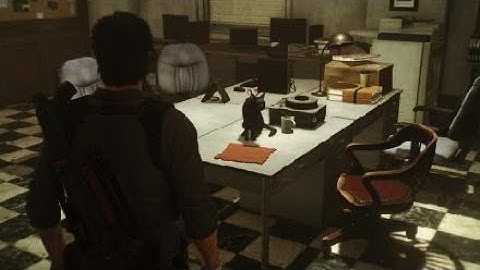 The Evil Within® 2_all slid black cat gives ?