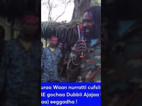Dubbii Ajajaa Oli Aana ABO WBOfi Sirna Eebba WBO Jaal Maarroo