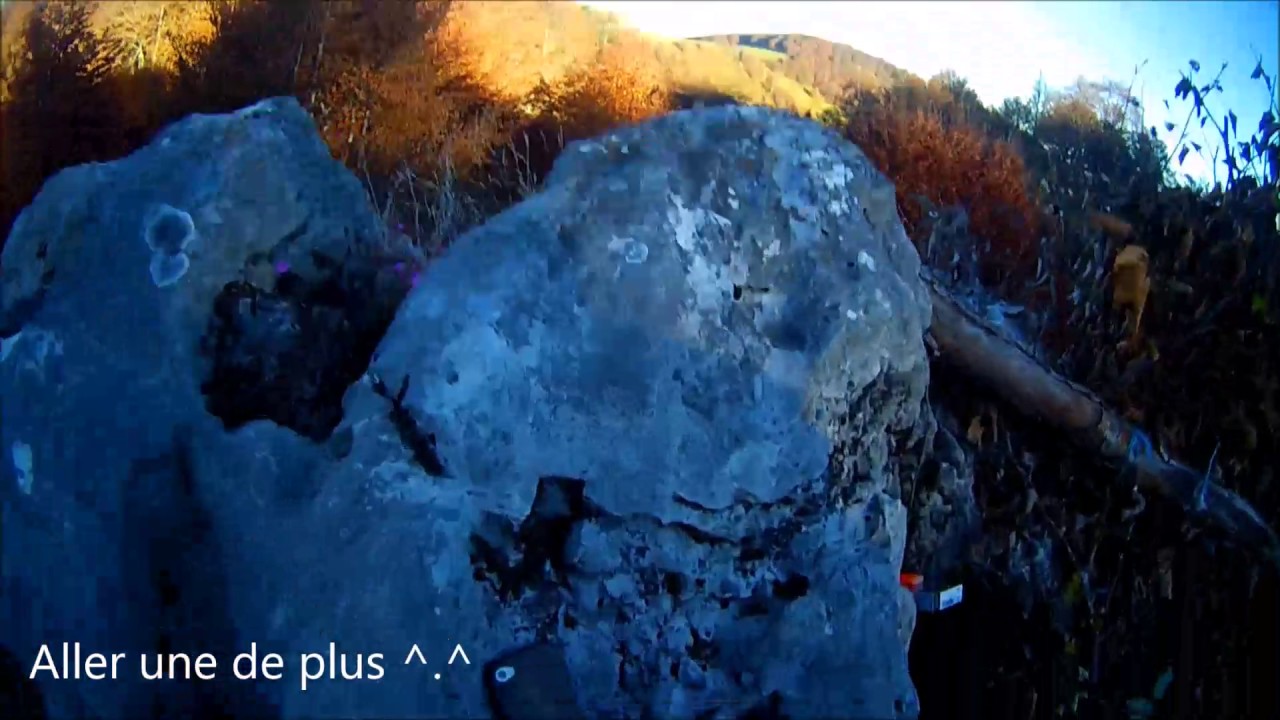 Chasse à la grive au vol/Col des bilhès/Hautes-Pyrénées