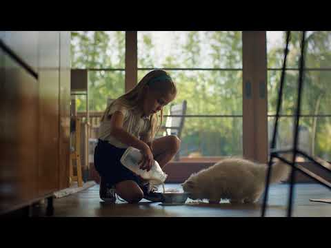 Samsung Brand Philosophy "Do What You Can't" - Samsung Brand Philosophy "Do What You Can't"