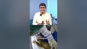 The Stem Cell Breakthrough That Could Turn Back Time