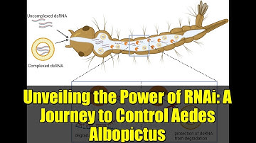 Unveiling the Power of RNAi: A Journey to Control Aedes Albopictus