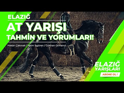 29 Ağustos Elazığ Altılı Ganyan Tahminleri (Cüneyt Ars/Naim İşgören)