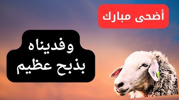 سورة الصافات مكتوبة وفديناه بذبح عظيم تلاوة تهتز لها القلوب بصوت القارئ عمار نورالدين 2024