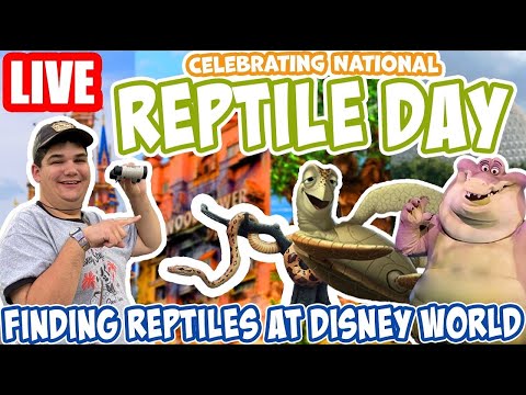 Celebrating National Reptile Day at Disney World! - Reptiles & More - Disney World Livestream