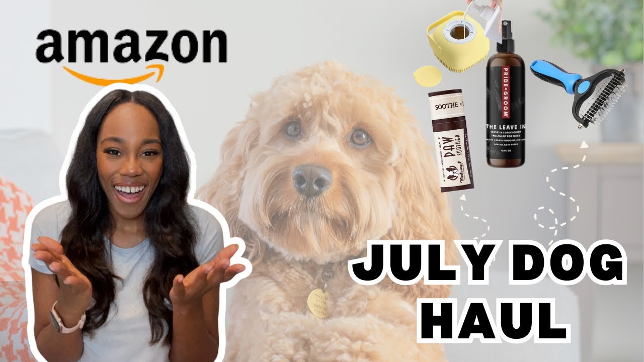 Top Dog Products for July: Must-Haves for Dog Parents! (2024)