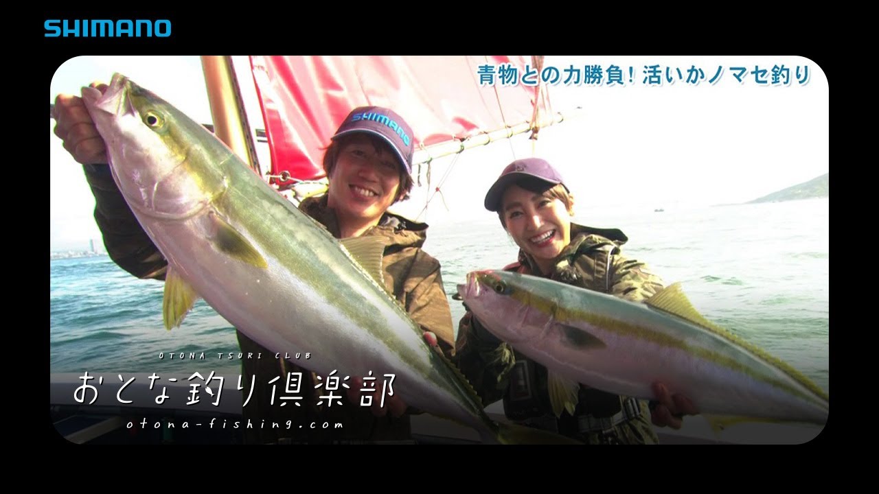 【おとな釣り倶楽部】明石の活いかノマセでメジロ・ブリ爆釣！