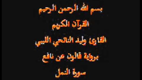 سورة النمل  برواية قالون عن نافع القارئ وليد النائحي الليبي