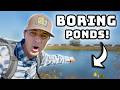 5 Fishing Tips For BORING Ponds!