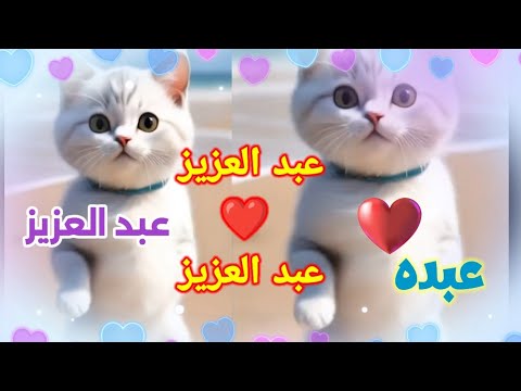 اغنية باسم عبدالعزيز اغنية عبدالعزيز عبدالعزيز عبده اغنيه اسم عبدالعزيز السعودية الجزائر العراق