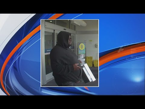 Busted Newspaper Champaign Illinoissupport And Help Detail